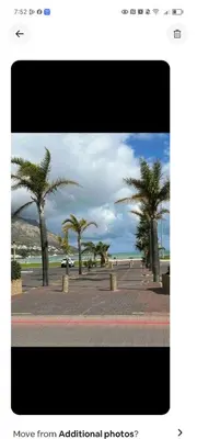a picture of palm trees on the beach at Sea View Room in Gordonʼs Bay