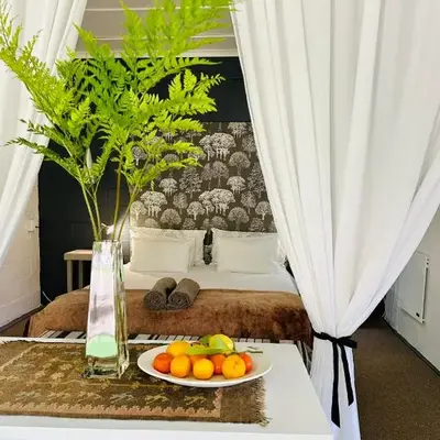 Agapanthus garden cottage