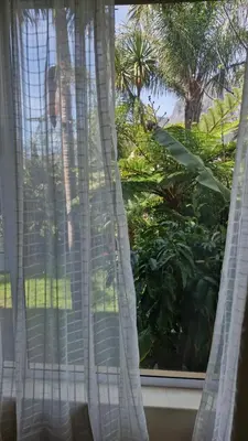a window with white curtains and a palm tree at Lumley's Place Guesthouse in Pniel