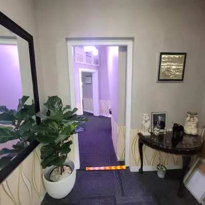 a hallway with a potted plant and a table at Prime Executive Accommodation in Cape Town