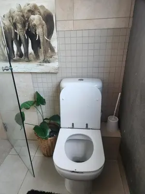 a bathroom with a toilet and a picture of elephants at Spacious Double Room with Pool, Free WiFi, Self-Catering Kitchen in Cape Town