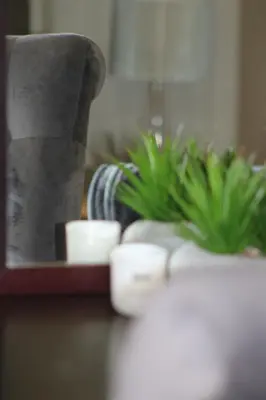 a table with some plants in a room at Charming Modern Bedsitter in Cape Town