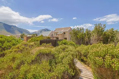 a house in the middle of a field of flowers at Lily House in Bettyʼs Bay