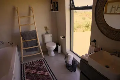 a bathroom with a ladder and a toilet and a sink at Cozy House with Sea and Mountain Views in Bettyʼs Bay