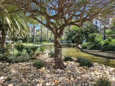 a tree in the middle of a river with rocks at Island Club apartment in Century City - 305 Ibiza in Cape Town