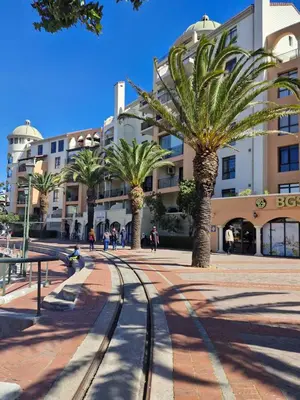 a group of palm trees in front of a building at Island Club apartment in Century City - 305 Ibiza in Cape Town
