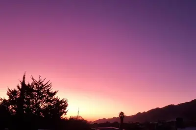 a pink and purple sky with a tree in the foreground at C'est la Vie 3 in Franschhoek