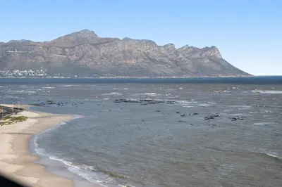 a view of the beach with a mountain in the background at Odeon Towers 1102 in Cape Town