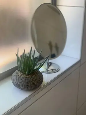 a plant sitting on a counter in front of a mirror at Room With A View in Windsor Park