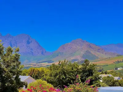 a view of a mountain range with trees and flowers at Franschhoek Three Bedroom Cottage On Dirkie Uys in Franschhoek