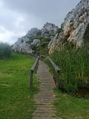 a wooden path leading up to a hill with rocks at Shekinah at Sea in Kleinmond