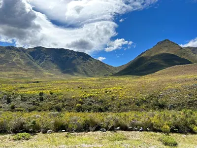a view of a field with mountains in the background at The River Retreat Kogelberg in Kleinmond