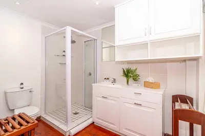 a bathroom with a shower and a toilet and a sink at Fynbos House in Hermanus