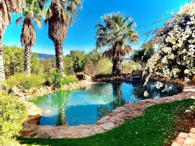 a swimming pool with palm trees in a garden at Guest Suite in Tuscan Farmhouse in Paarl