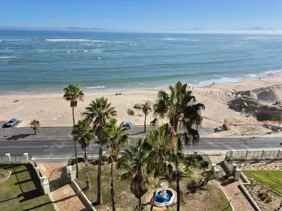 a view of a beach with palm trees and the ocean at Elana Beachfront Condo in Strand
