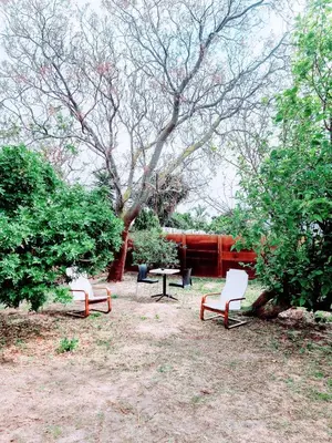 three chairs and a table in a park with a tree at 3 bedroom garden house in Tableview in Table View