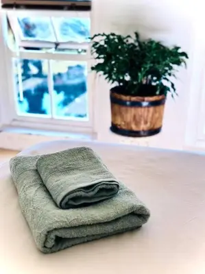 a pile of towels on a counter with a potted plant at Tuscan Farmhouse near Franschhoek in Simondium