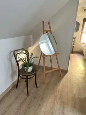a mirror on a stand next to a chair with a plant at Koetshuis on High Street in Paarl