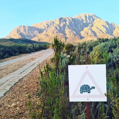 a sign on the side of a road with a turtle sign at MAGNIFICENT 6 sleeper mountain getaway in Romansrivier