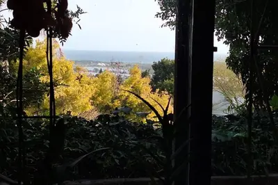 a view from the window of a house with trees at Somerset West Family home holiday rental in Cape Town