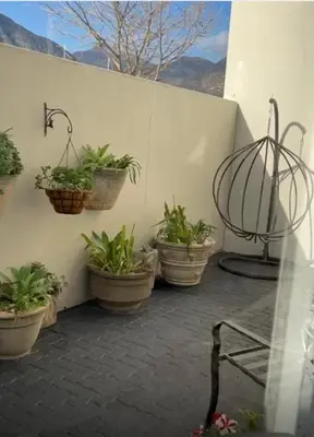 a group of potted plants on a patio at Franschhoek Wine Tram Apartment in Franschhoek