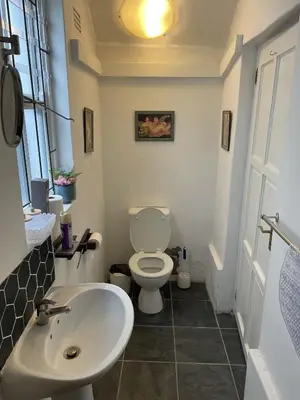 a bathroom with a white toilet and a sink at Franschhoek Wine Tram Apartment in Franschhoek