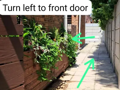 a garden with plants in a planter on a sidewalk at Ina se Huisie in Blouberg self Catering Apartment in Cape Town