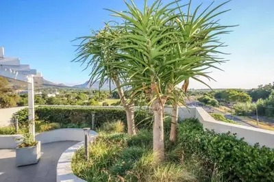 a palm tree sitting on top of a walkway at The Den at 41- Parking included in Stellenbosch