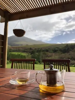 a tea pot and a cup on a wooden table at Babylons Tower Shepherds Hut in Mosselrivier