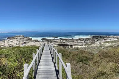 a wooden boardwalk leading to a beach with the ocean at 24 Whale Rock Estate in Hermanus