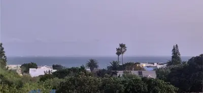 a view of the ocean with palm trees and houses at A Short Walk to the Cliffs in Hermanus