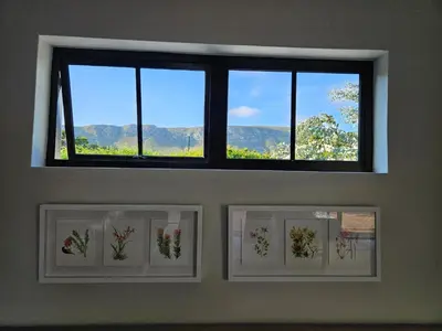 a window with four pictures of flowers on a wall at Studio on Main in Hermanus