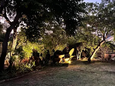 a backyard with trees and a grill in the grass at NamaStay in Cape Town