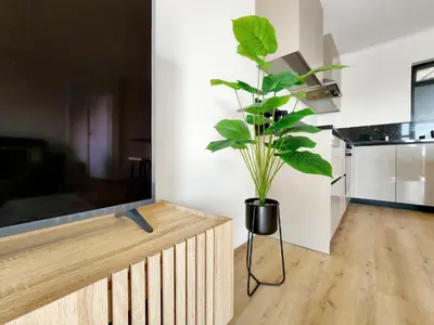 a potted plant sitting on a stand next to a tv at Canal, Mountains, Sea Views, Pool, Gym, Parking, Wifi in Cape Town