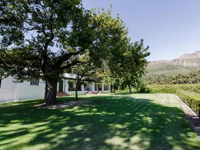 a house with a tree in the middle of a yard at Keerweder Cottages in Franschhoek