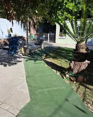 a green path in a yard with a plant at The Willow Cottage in Cape Town