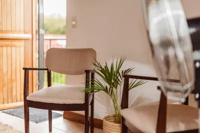 a chair and a plant in a room at The Attic - Deluxe Leisure Loft in Stellenbosch