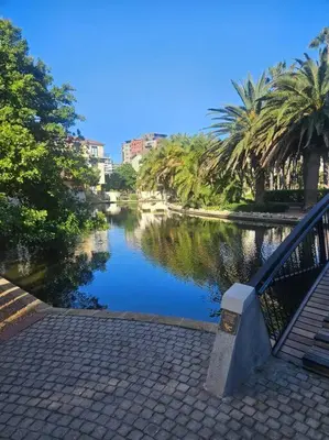 a view of a river with palm trees and buildings at SS Luxury Apartments Island Club in Cape Town