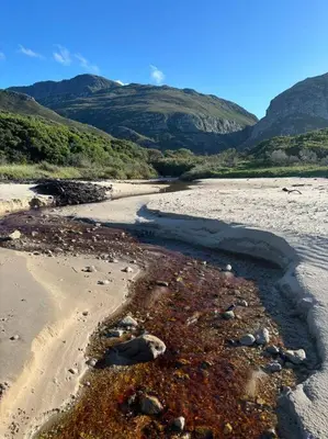 Gallery image of Beachside cottage with breathtaking views in Bettyʼs Bay