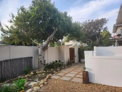 a tree in a yard next to a white fence at No 4 Life at Sea in Strand