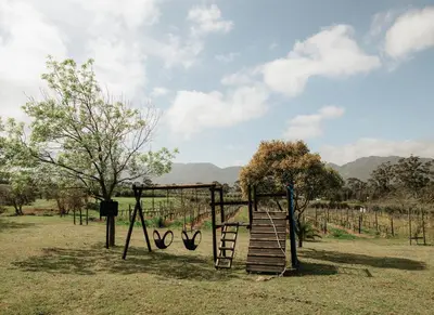 a playground with a ladder and a swing at 13 Olives, Entire Grape & Olive Estate, Somerset West by Euphoric Leisure in Sir Lowryʼs Pass