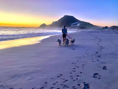 a person walking two dogs on the beach at #SilverSands Coastal Retreat in Betty's Bay in Bettyʼs Bay