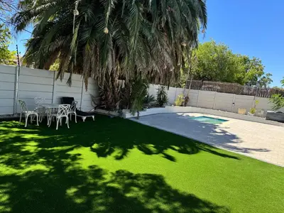 a backyard with a table and chairs and a palm tree at Canary Guest house in Cape Town