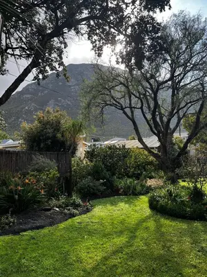 a garden with a view of a mountain in the background at Voëlklip Holiday Home in Hermanus