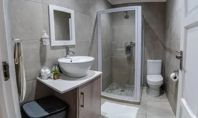 a bathroom with a sink and a shower and a toilet at Village Artisan Franschhoek in Franschhoek