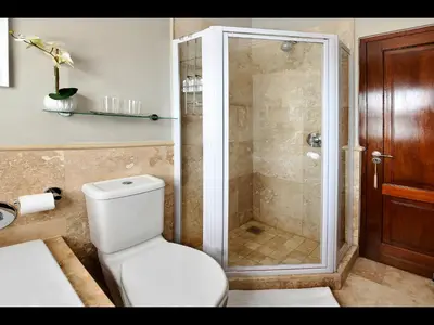 a bathroom with a shower and a white toilet at Sorbonne 6 in Franschhoek