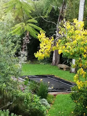 a garden with a black mat in the grass at The GOAT shed in Paarl