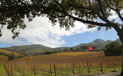 a red balloon in a field with a vineyard at The GOAT shed in Paarl