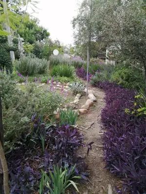 a garden with purple flowers on a path at The GOAT shed in Paarl