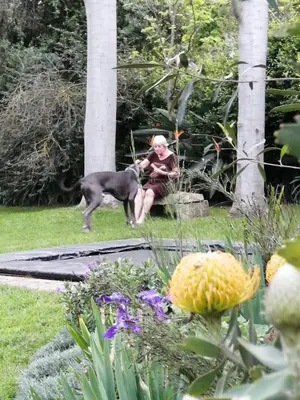 a man sitting in the grass with a dog at The GOAT shed in Paarl